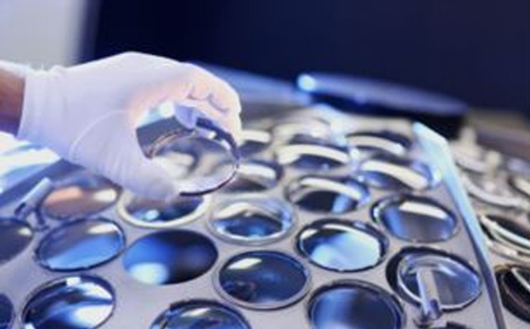 美麗島眼鏡怎么樣 美麗島眼鏡怎么樣