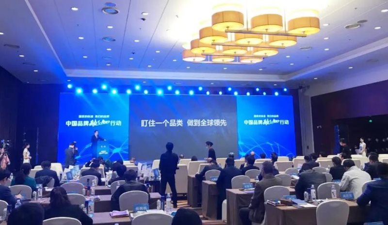 定了！美麗島進(jìn)了國(guó)家隊(duì)，新華社專訪