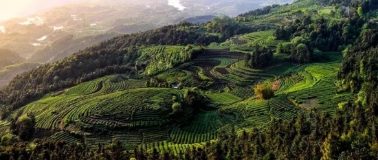 美麗島多焦鏡：這個(gè)明凈新春，以時(shí)間為軸，扶搖直上